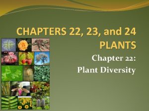 Section 22-4 seed plants