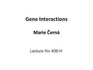 Gene interactions