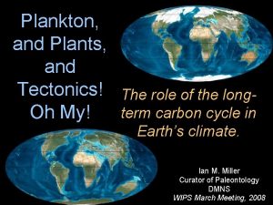 Global carbon cycle diagram