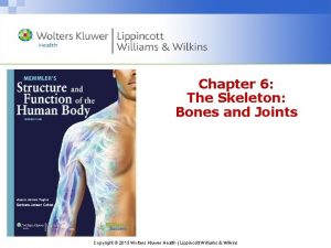 Chapter 6 The Skeleton Bones and Joints Copyright