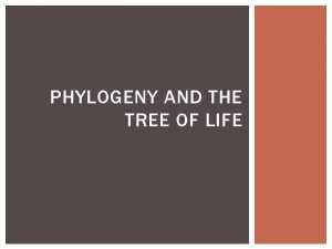 PHYLOGENY AND THE TREE OF LIFE PHYLOGENY Phylogeny
