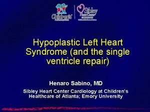 Hypoplastic Left Heart Syndrome and the single ventricle