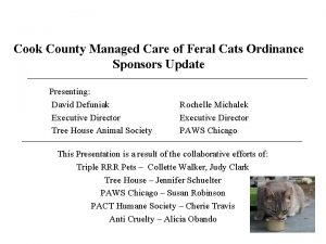 Cook county feral cat ordinance