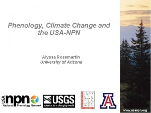 Phenology Climate Change and the USANPN Alyssa Rosemartin