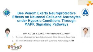 Bee Venom Exerts Neuroprotective Effects on Neuronal Cells