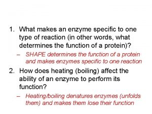 What makes an enzyme specific