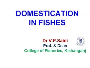 DOMESTICATION IN FISHES Dr V P Saini Prof