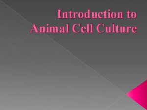 Introduction to Animal Cell Culture Introduction Cell culture