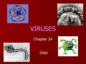 VIRUSES Chapter 24 Video VIRAL STRUCTURE AND REPLICATION