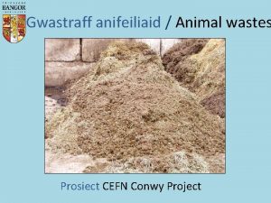 Gwastraff anifeiliaid Animal wastes Prosiect CEFN Conwy Project