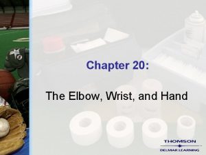 Chapter 20 the elbow wrist and hand