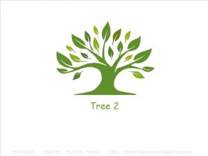 Tree 1 Tree Definitions 2 Binary Tree Traversals