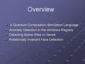 Overview A Quantum Computation Simulation Language Anomaly Detection