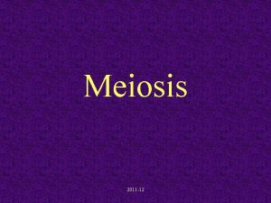 Meiosis 2011 12 Meiosis Halves the Chromosome Number