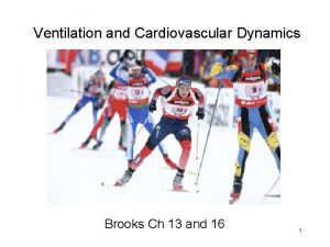 Ventilation and Cardiovascular Dynamics Brooks Ch 13 and