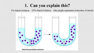 Which process