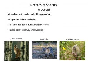 Degrees of Sociality A Asocial Minimal contact usually