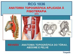 RCG 1036 ANATOMIA TOPOGRFICA APLICADA FISIOTERAPIA 2019 REVISO