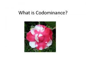 What is Codominance What is codominance Codominance condition