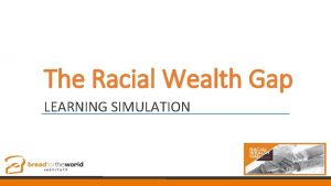 Racial wealth gap simulation