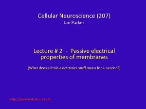 Parker passive Parker passive
