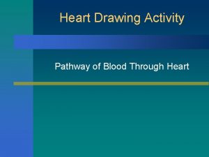 Heart Drawing Activity Pathway of Blood Through Heart