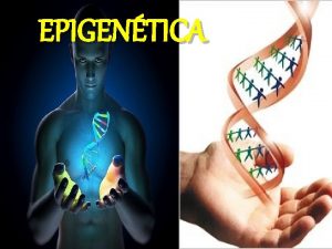 Epigentica