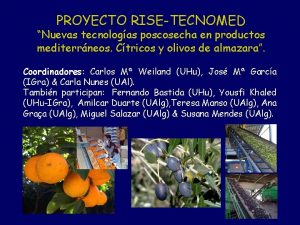 PROYECTO RISETECNOMED Nuevas tecnologas poscosecha en productos mediterrneos