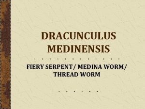 DRACUNCULUS MEDINENSIS FIERY SERPENT MEDINA WORM THREAD WORM