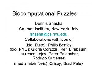 Biocomputational Puzzles Dennis Shasha Courant Institute New York