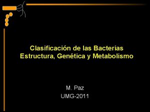 Clasificacin de las Bacterias Estructura Gentica y Metabolismo