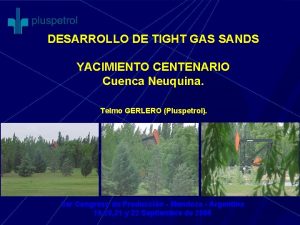 DESARROLLO DE TIGHT GAS SANDS YACIMIENTO CENTENARIO Cuenca