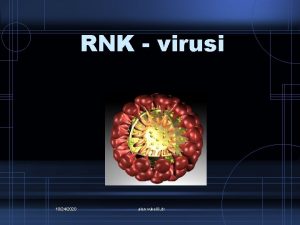 RNK virusi 10242020 alen vukeli dr Picornaviridae Caliciviridae