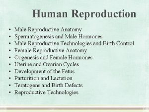 Human Reproduction Male Reproductive Anatomy Spermatogenesis and Male