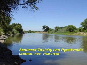Sediment Toxicity and Pyrethroids Orchards Row Field Crops