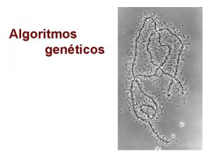 Algoritmos genticos Algoritmos genticos Idea bsica Problema complejo