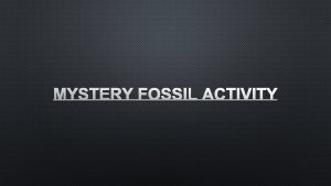 Mystery fossil activity
