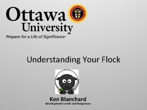 Understanding Your Flock Ken Blanchard Development Levels and