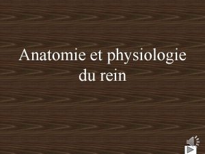 Anatomie et physiologie du rein 1 Introduction En