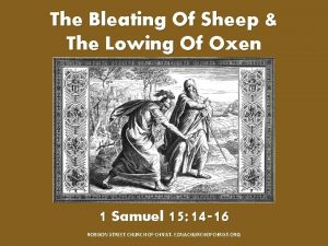 Bleating of sheep
