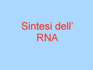 Sintesi dell RNA Il DNA e lRNA gli