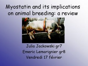 Myostatin and its implications on animal breeding a