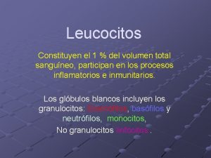Leucocitos