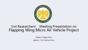 1 rst Researchers Meeting Presentation on Flapping Wing