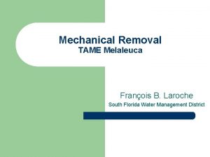 Mechanical Removal TAME Melaleuca Franois B Laroche South