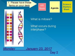 Prophase, metaphase, anaphase, telophase