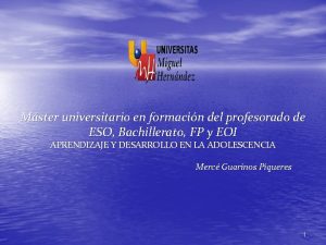 Mster universitario en formacin del profesorado de ESO