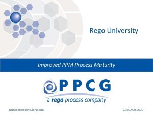 Ppm maturity model