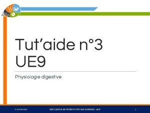 Tutaide n 3 UE 9 Physiologie digestive 8