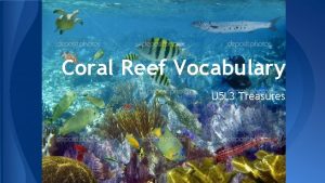 Coral reef vocabulary